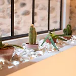 Triplex Chic Au Coeur De * Valence (Drome)