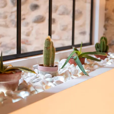 Triplex Exceptionnel - Hypercentre * Валанс